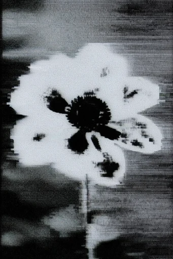 Monochrome Analog Glitch style reference image — coarse grain texture