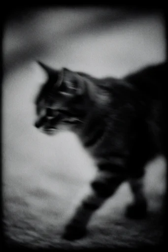 Spectral Pictorial Noir style reference image — ghostly silhouettes