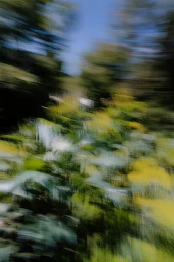Kinetic Analog Abstraction style reference image — heavy analog film grain