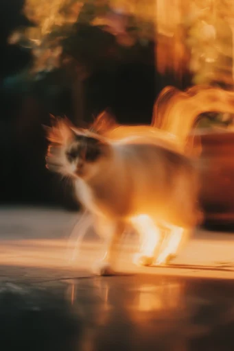 Kinetic Amber Dreamscape style reference image — low-key cinematic lighting