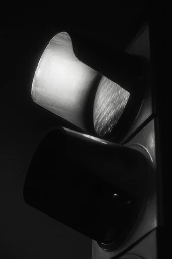 Cinematic Noir Portraiture style reference image — high-contrast black and white