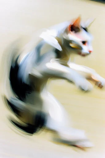 Ethereal Kinetic Motion style reference image — high-key lighting