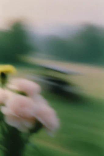 Ethereal Pastoral Impressionism style reference image — tactile noise texture