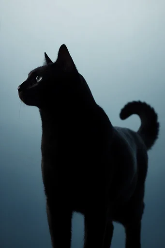 Ethereal Cyan Silhouette style reference image — organic chrome textures