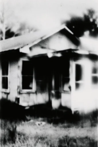 Haunting Monochrome Noir style reference image — glitch distortion