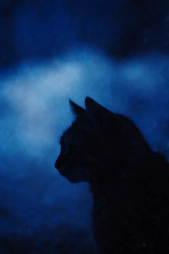 Ethereal Nocturnal Cyan style reference image — grainy film photography