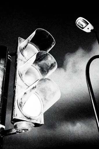 Raw Monochromatic Distorted Noir style reference image — gritty halftone texture