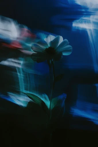 Spectral Cobalt Motion style reference image — ethereal spectral atmosphere