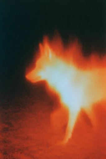 Analog Apocalyptic Radiance style reference image — fiery orange thermal glow
