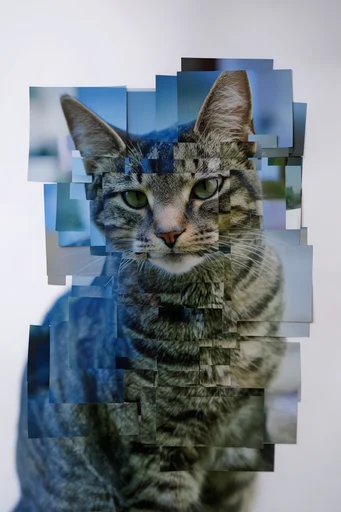 Fragmented Digital Brutalism style reference image — cubist montage