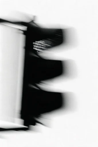 Spectral Kinetic Monochrome style reference image — intentional motion blur