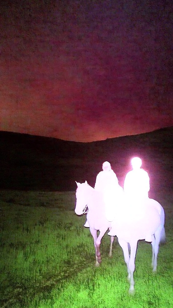 nocturnal landscape of rolling hills, two figures riding horses in the lower right foreground, harsh direct-on-camera flash resulting in extreme overexposure and bleached white silhouettes of the riders, sickly-saturated magenta and violet night sky, radioactive neon green grass, high-iso digital sensor noise, chunky grain, 2004-era consumer point-and-shoot aesthetic, heavy chromatic aberration with purple-fringe halation, flattened depth, high-contrast digital lo-fi rendering