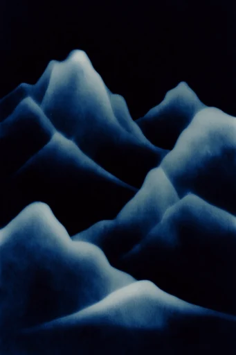 Spectral Nocturnal Grain style reference image — high-contrast monochrome