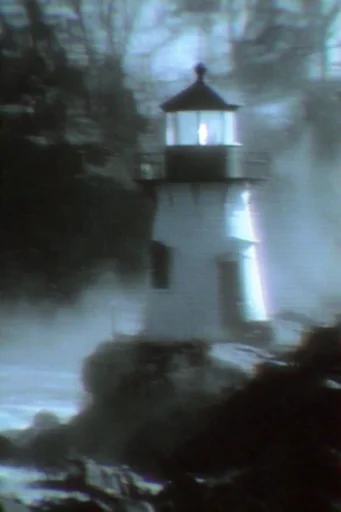 Analog Glitch Noir style reference image — VHS tracking distortion