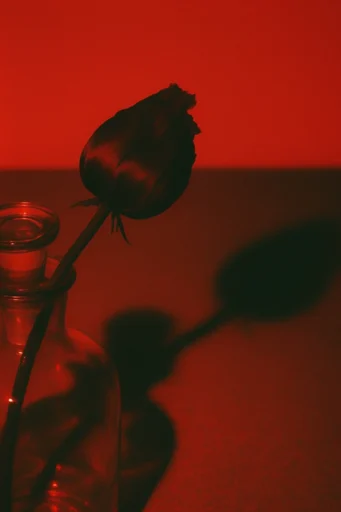 Cinematic Crimson Noir style reference image — high-contrast chiaroscuro