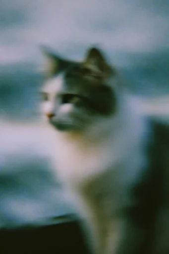 Spectral Analog Glitch style reference image — VHS glitch artifacts