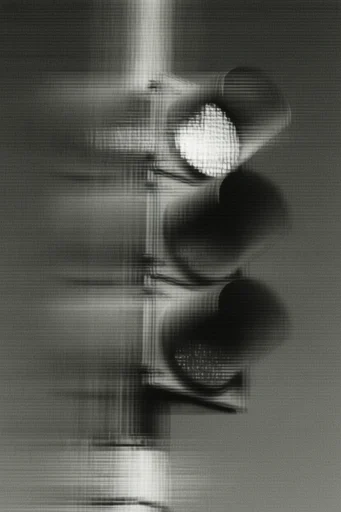 Monochrome Analog Glitch style reference image — analog glitch