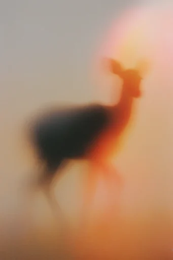 Ethereal Twilight Nostalgia style reference image — analog film grain