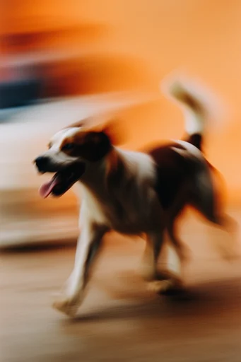 Kinetic Amber Nocturne style reference image — abstract light bokeh