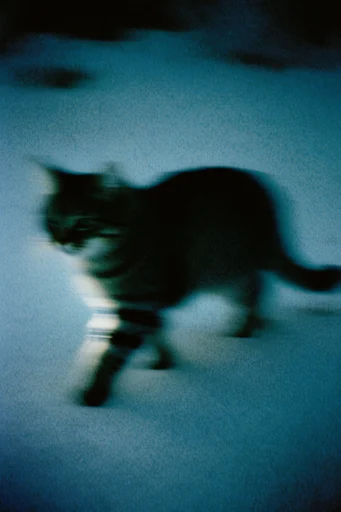Spectral Indigo Nocturne style reference image — liminal nocturne