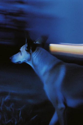 Spectral Nocturnal Motion style reference image — lo-fi aesthetic