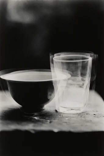 Monochromatic Avant-Garde Noir style reference image — experimental photogram