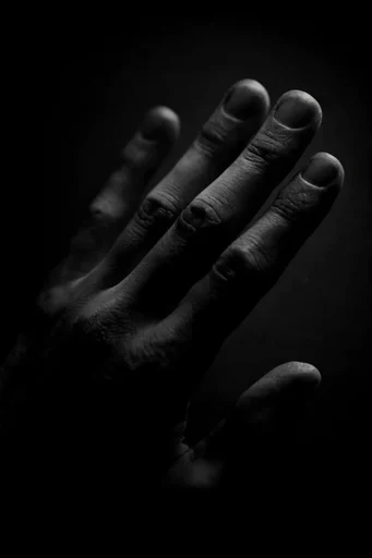 Cinematic Chiaroscuro Noir style reference image — high-contrast black and white