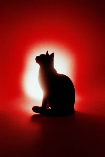 Crimson Noir Minimalism style reference image — dramatic chiaroscuro