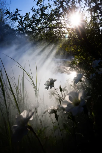Bioluminescent Liminal Decay style reference image — backlit silhouettes