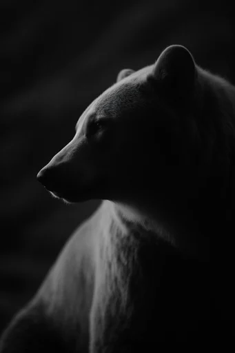 Ghostly Chiaroscuro Noir style AI image example 3