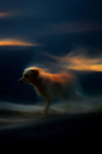 Luminous Nocturnal Chiaroscuro style reference image — soft textured oil aesthetic