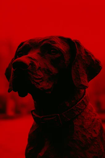 Crimson Noir Graphic style reference image — graphic novel style