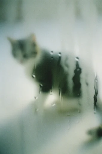 Ethereal Obscured Minimalism style reference image — heavy film grain
