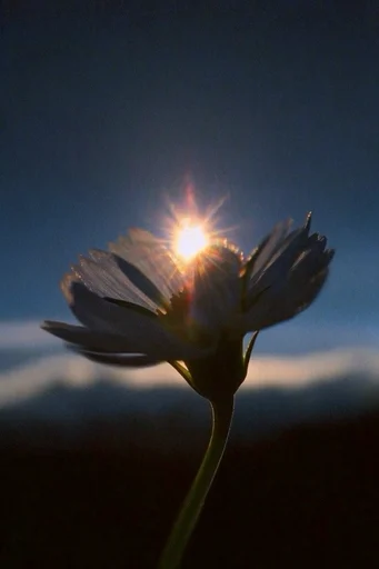 Ethereal Nocturnal Luminance style reference image — ethereal light burst