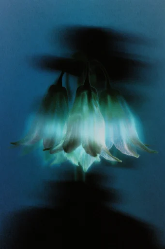Spectral Cyan Nocturne style reference image — mysterious nocturnal atmosphere