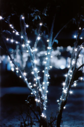 Electric Nocturnal Luminescence style reference image — surreal electric atmosphere