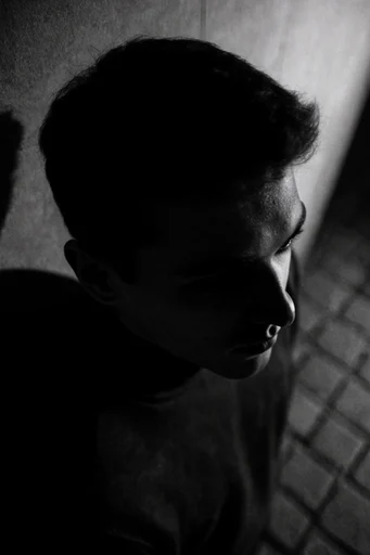 Monochrome Glitch Noir style reference image — liminal atmosphere