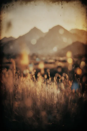 Dreamlike Analog Nostalgia style reference image — extreme out-of-focus