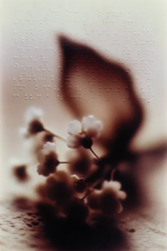 Tactile Ethereal Solitude style reference image — warm sepia tones