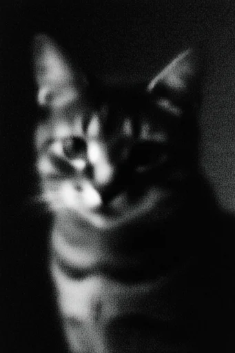 Gritty Monochromatic Noir style reference image — atmospheric noir