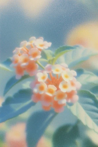 Nostalgic Analog Archive style reference image — faded analog colors
