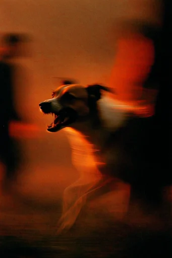 Crimson Nocturnal Blur style reference image — lo-fi darkroom aesthetic