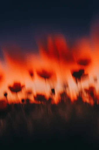 Ethereal Kinetic Nocturne style reference image — heavy film grain