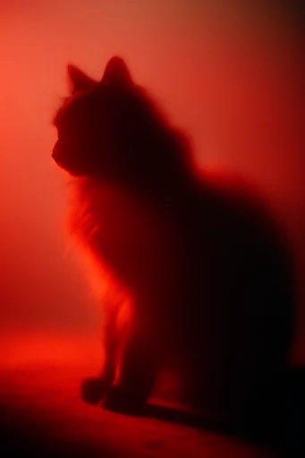 Ethereal Crimson Noir style reference image — halation effect