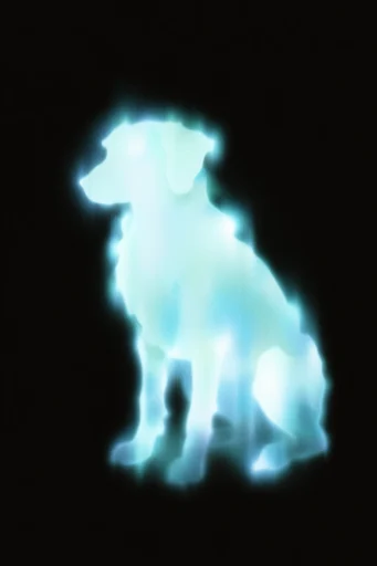Ethereal Bioluminescent Nocturne style reference image — pitch black background