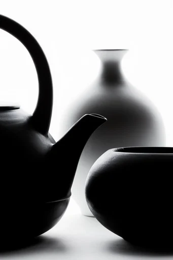 Graphic Avant-Garde Silhouette style reference image — stark high contrast