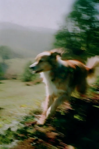 Kinetic Nostalgic Blur style reference image — stark diagonal shadows