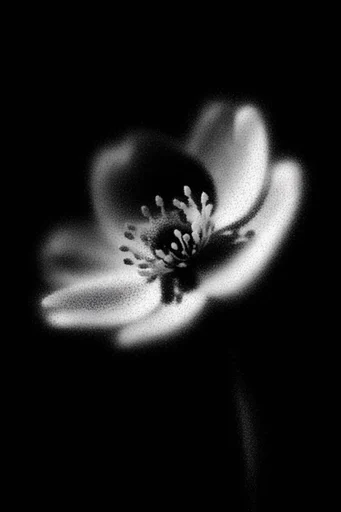 Spectral Stippled Noir style reference image — intense rim lighting