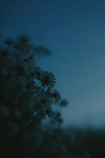 Nocturnal Cyan Melancholia style reference image — liminal space