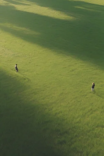 Monochromatic Verdant Surrealism style reference image — bird's-eye view